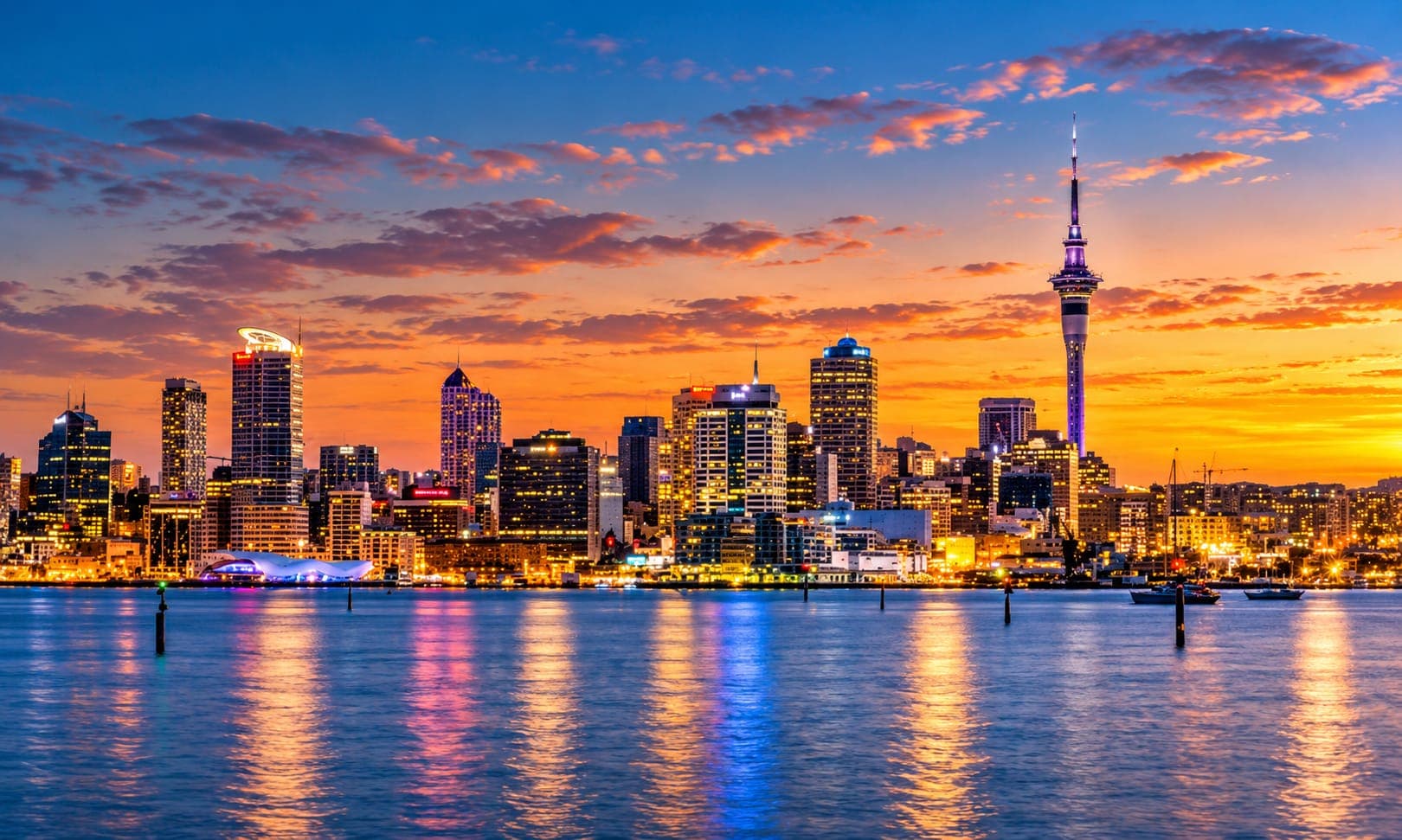 Auckland skyline with the Sky Tower lit up at dusk
