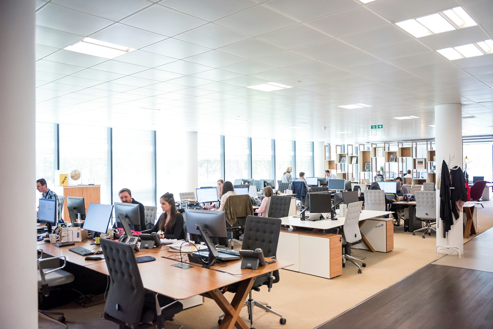 Professional services team working in a modern open-plan office